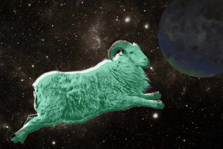 Luna Nouă în Capricorn Decembrie 2024 - și Citiri de Tarot pentru fiecare Semn Zodiacal